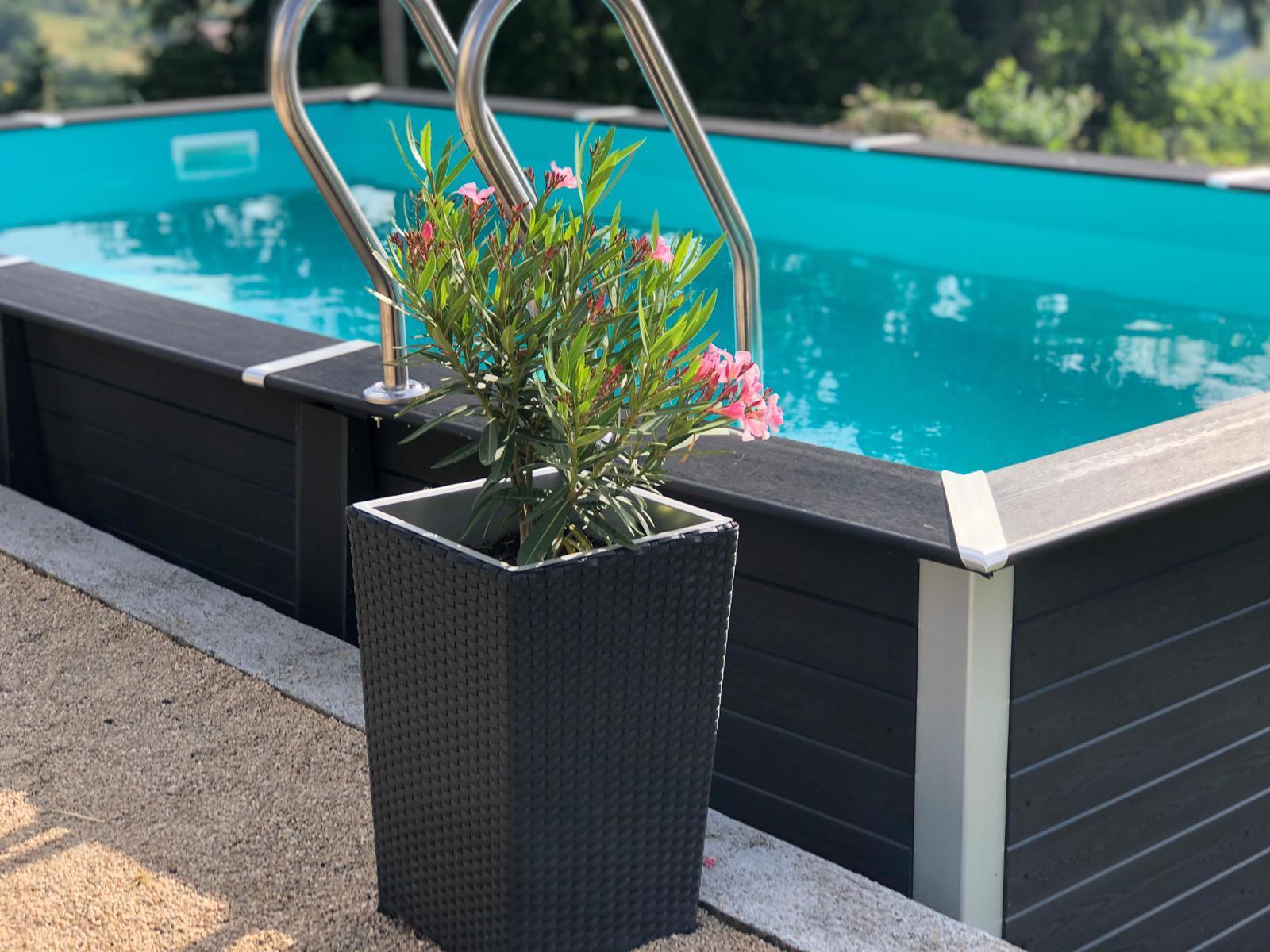 Rectangular pool with a flower pot in the foreground
